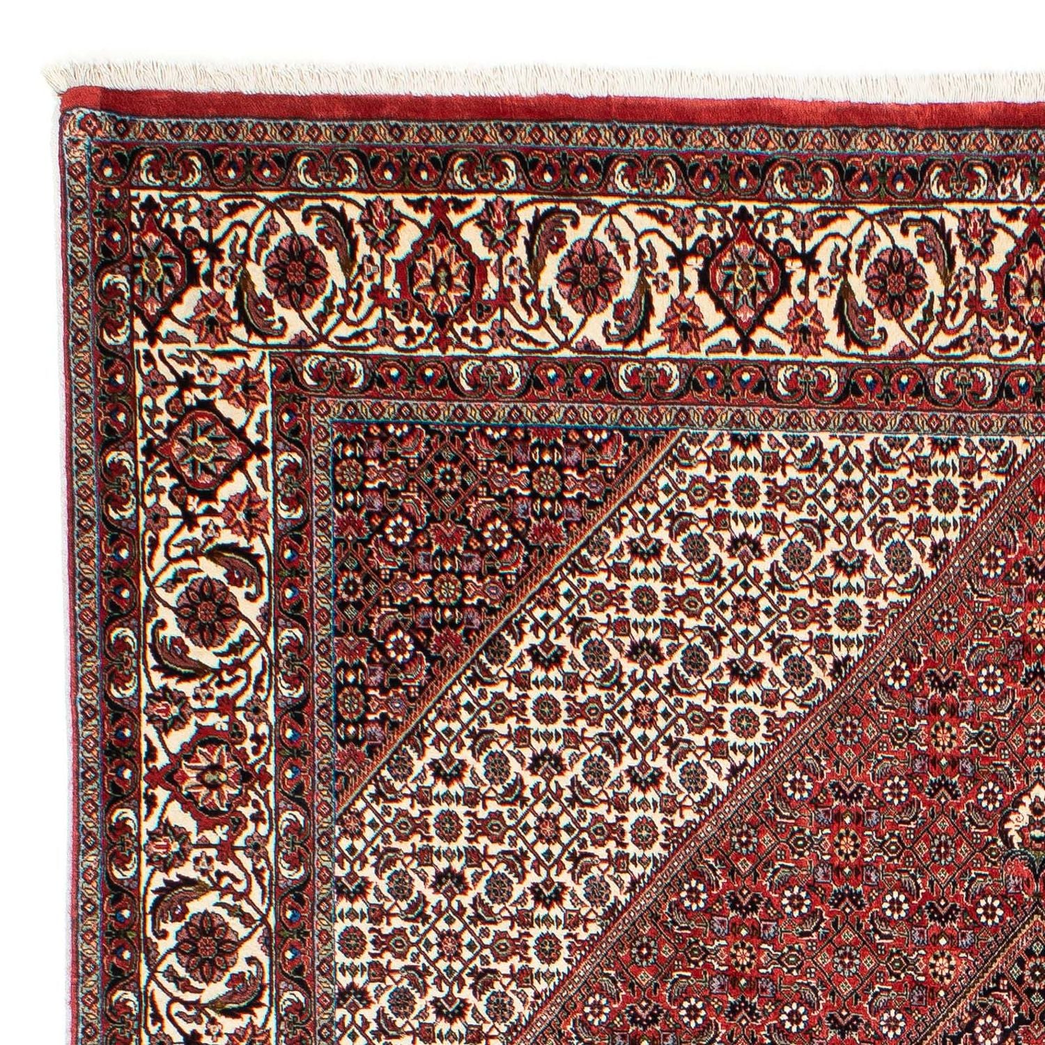 Perserteppich - Bidjar 294 x 204 cm