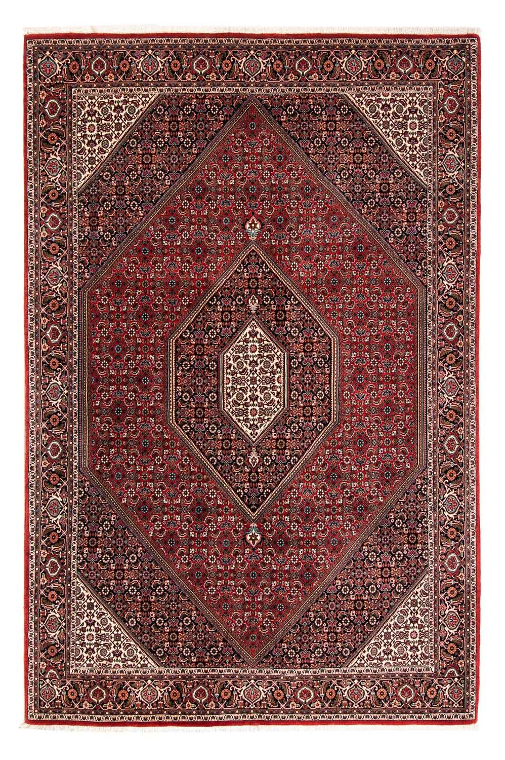 Perserteppich - Bidjar 258 x 169 cm
