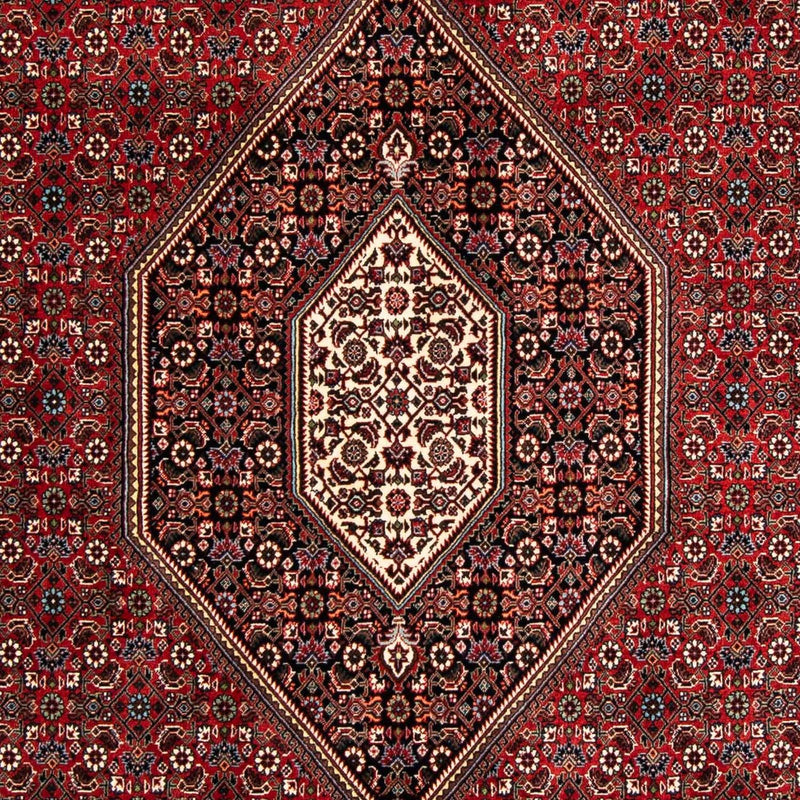 Perserteppich - Bidjar 258 x 169 cm