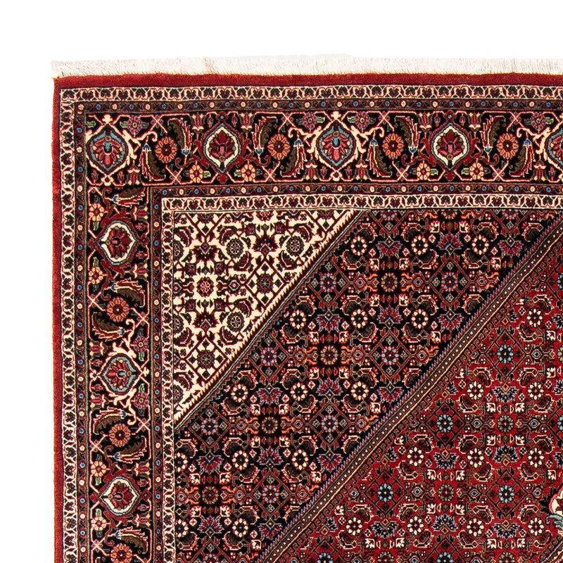 Perserteppich - Bidjar 258 x 169 cm