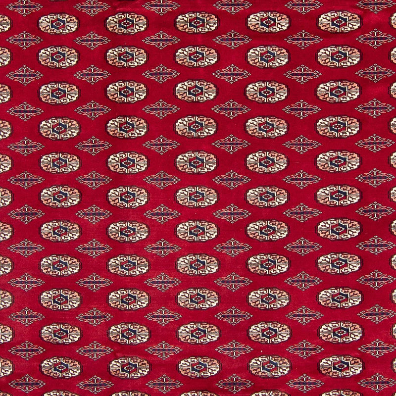 Afghan Teppich - Buchara 303 x 253 cm