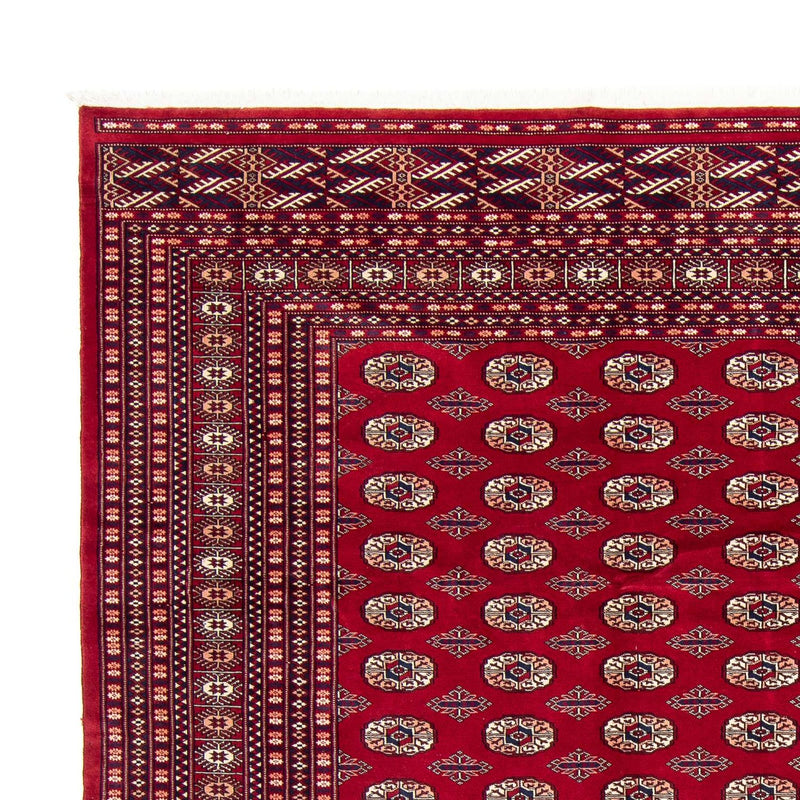Afghan Teppich - Buchara 303 x 253 cm