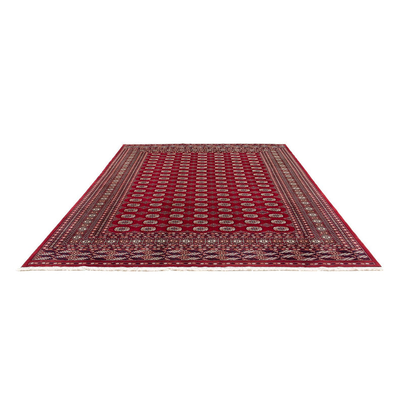 Afghan Teppich - Buchara 303 x 253 cm