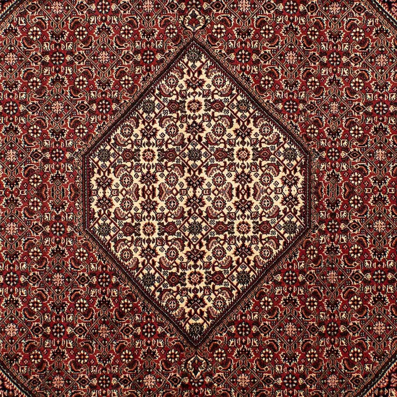 Perserteppich - Bidjar 288 x 198 cm
