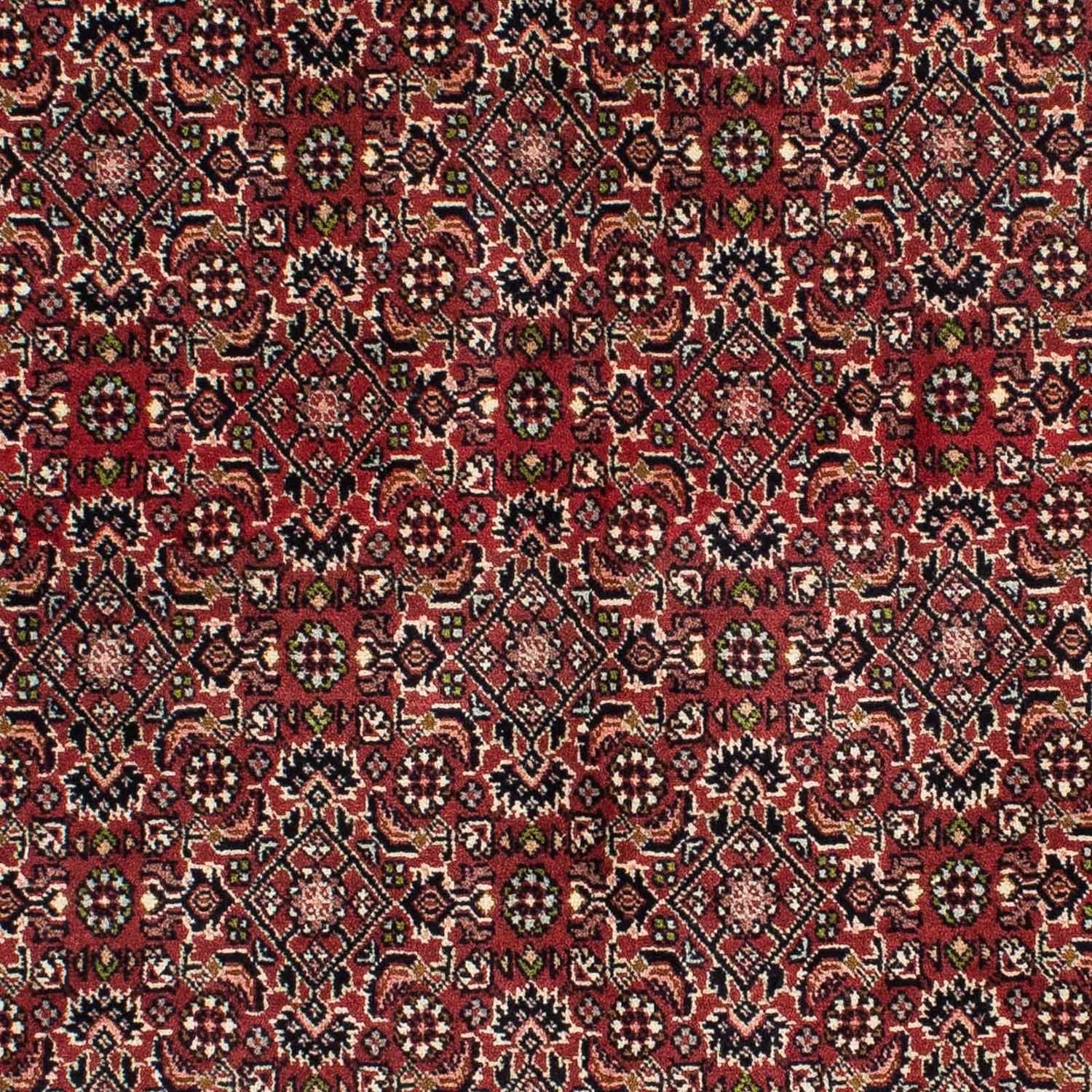 Perserteppich - Bidjar 208 x 139 cm
