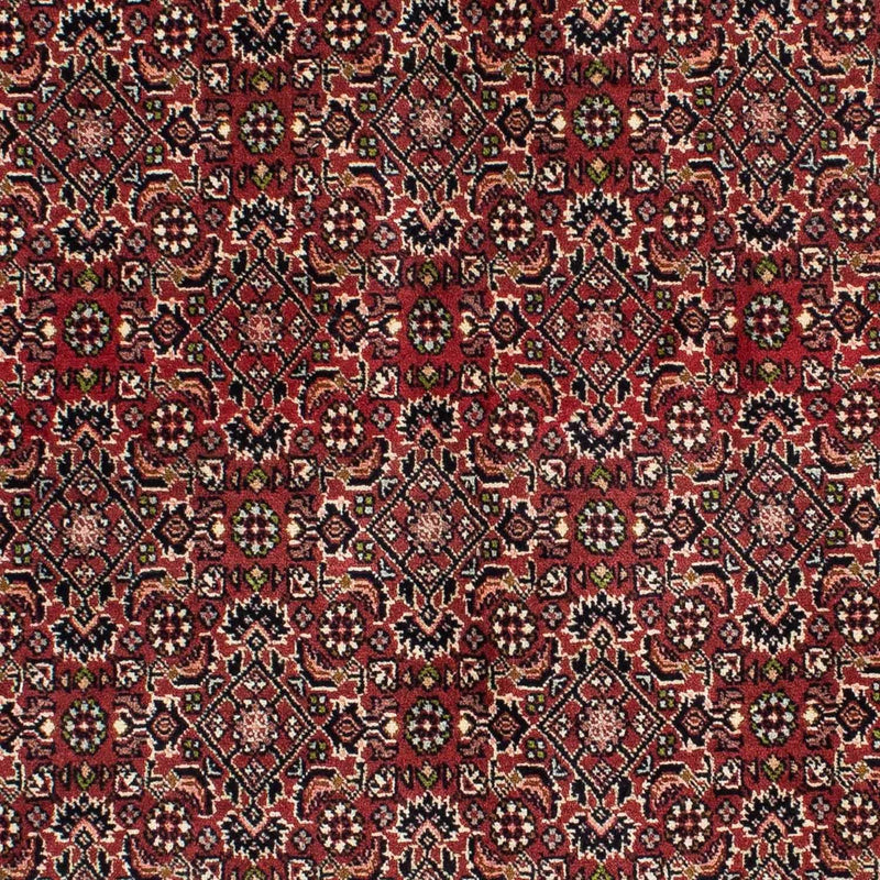 Perserteppich - Bidjar 208 x 139 cm