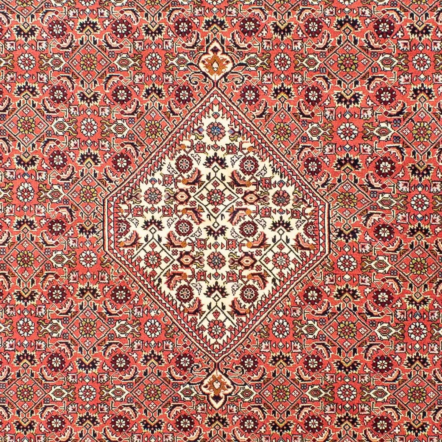 Perserteppich - Bidjar 252 x 173 cm