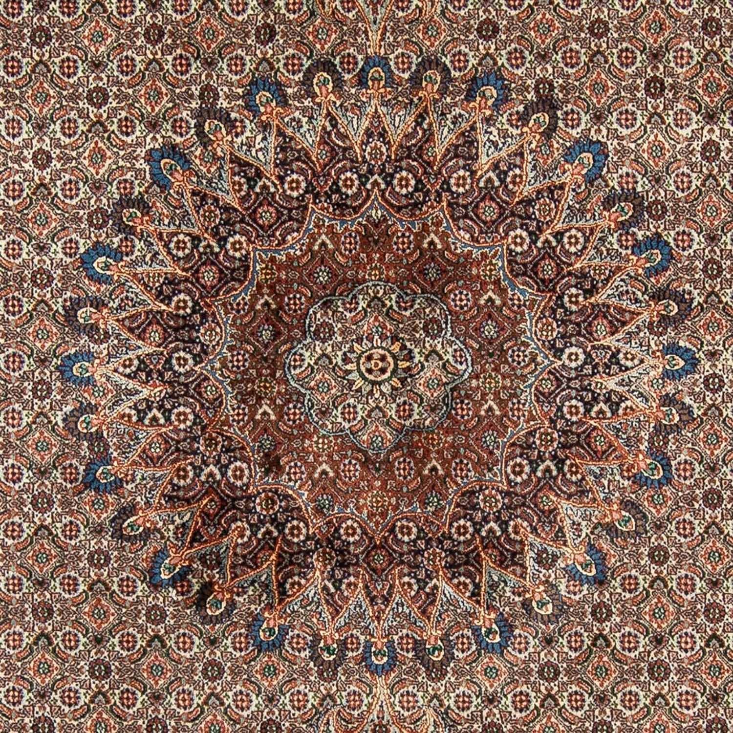 Perserteppich - Classic 298 x 203 cm