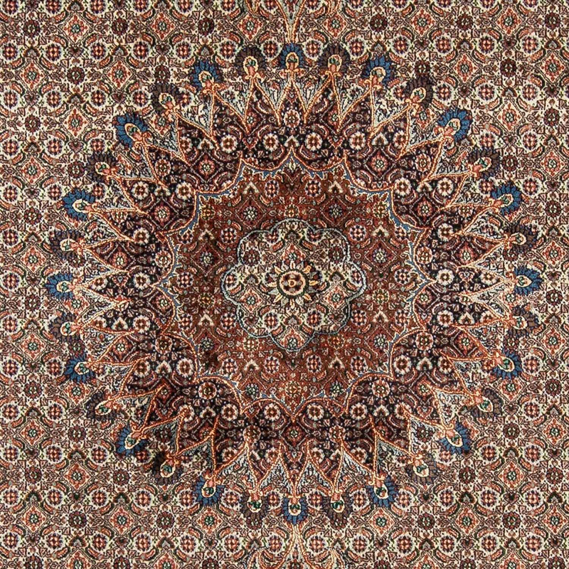Perserteppich - Classic 298 x 203 cm