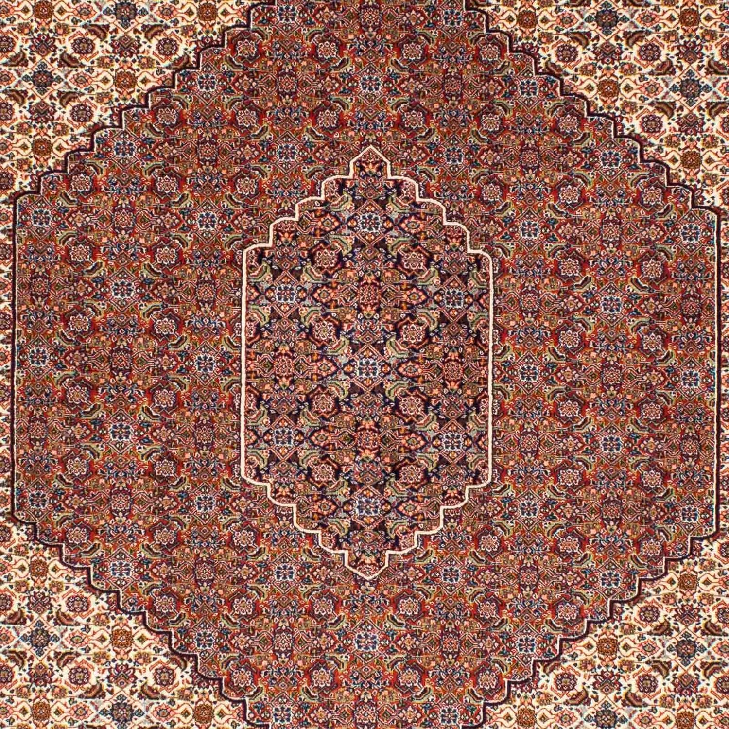 Perserteppich - Nomadic 250 x 161 cm