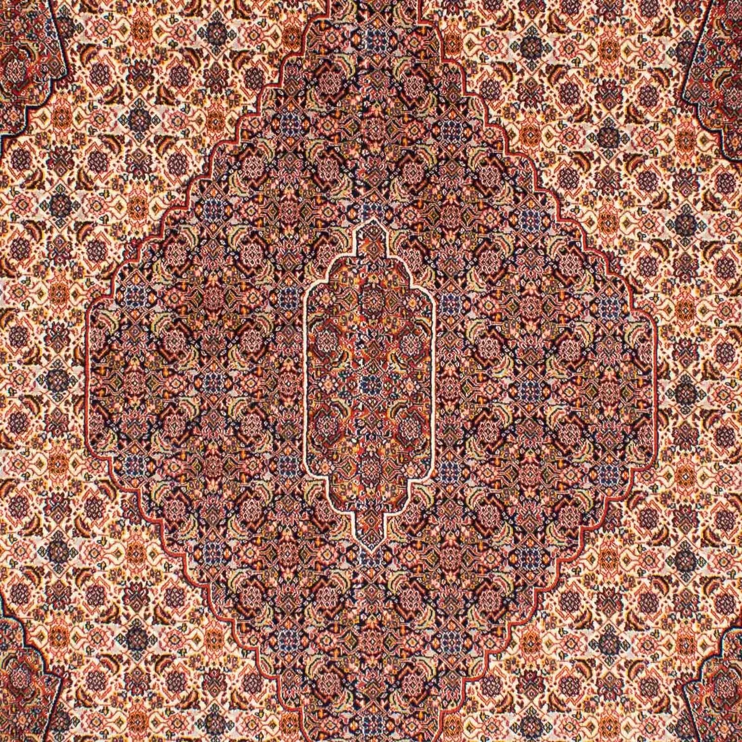 Perserteppich - Nomadic 262 x 167 cm
