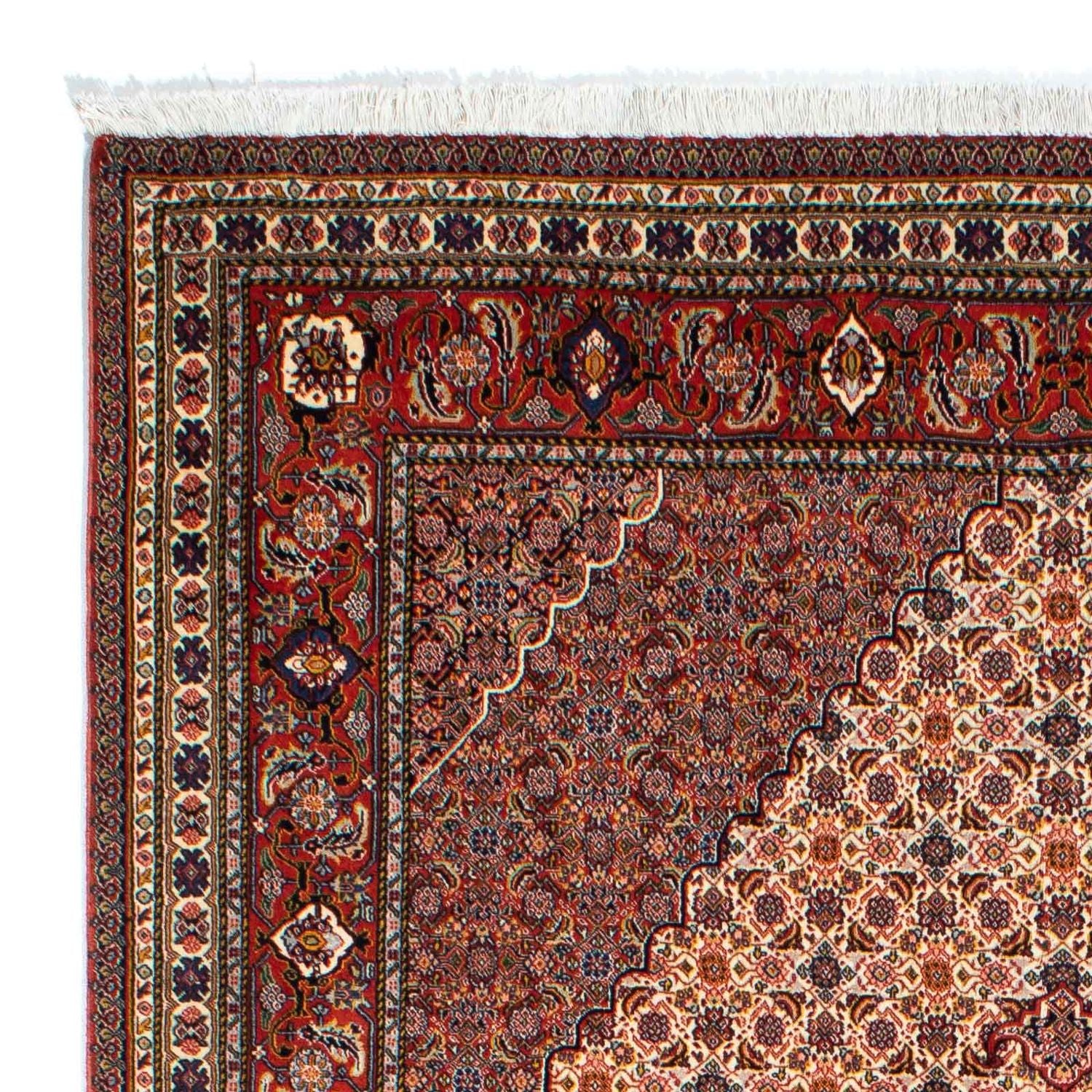 Perserteppich - Nomadic 262 x 167 cm