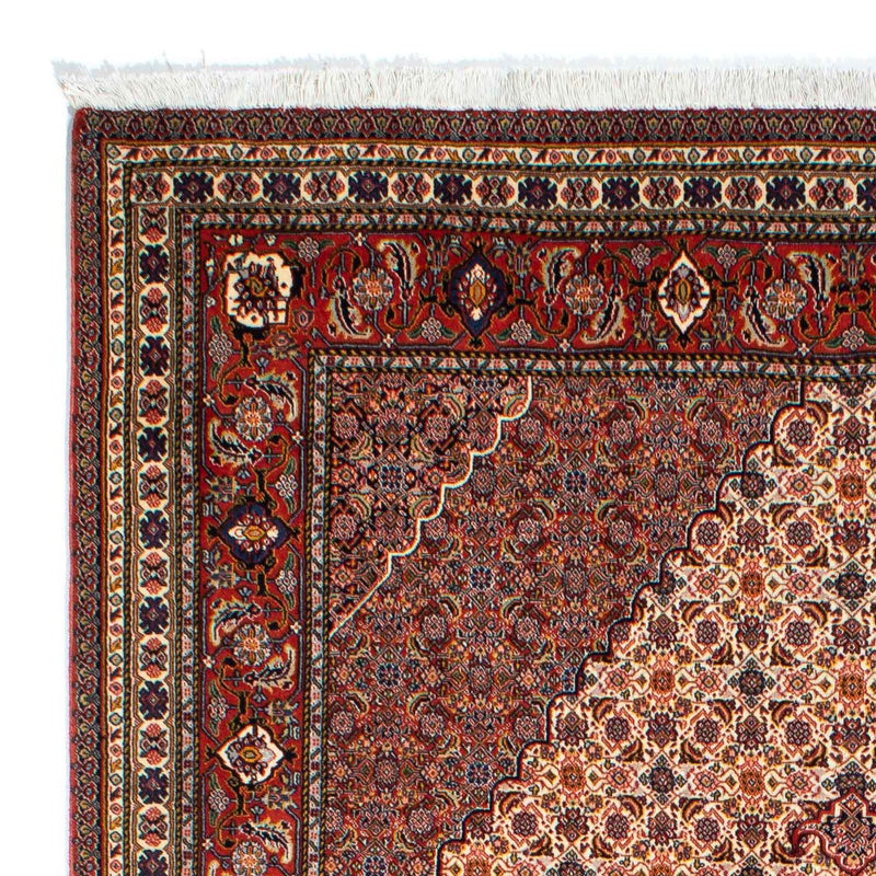 Perserteppich - Nomadic 262 x 167 cm