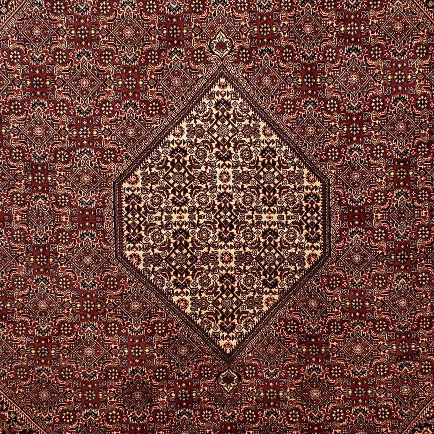 Perserteppich - Bidjar 284 x 199 cm