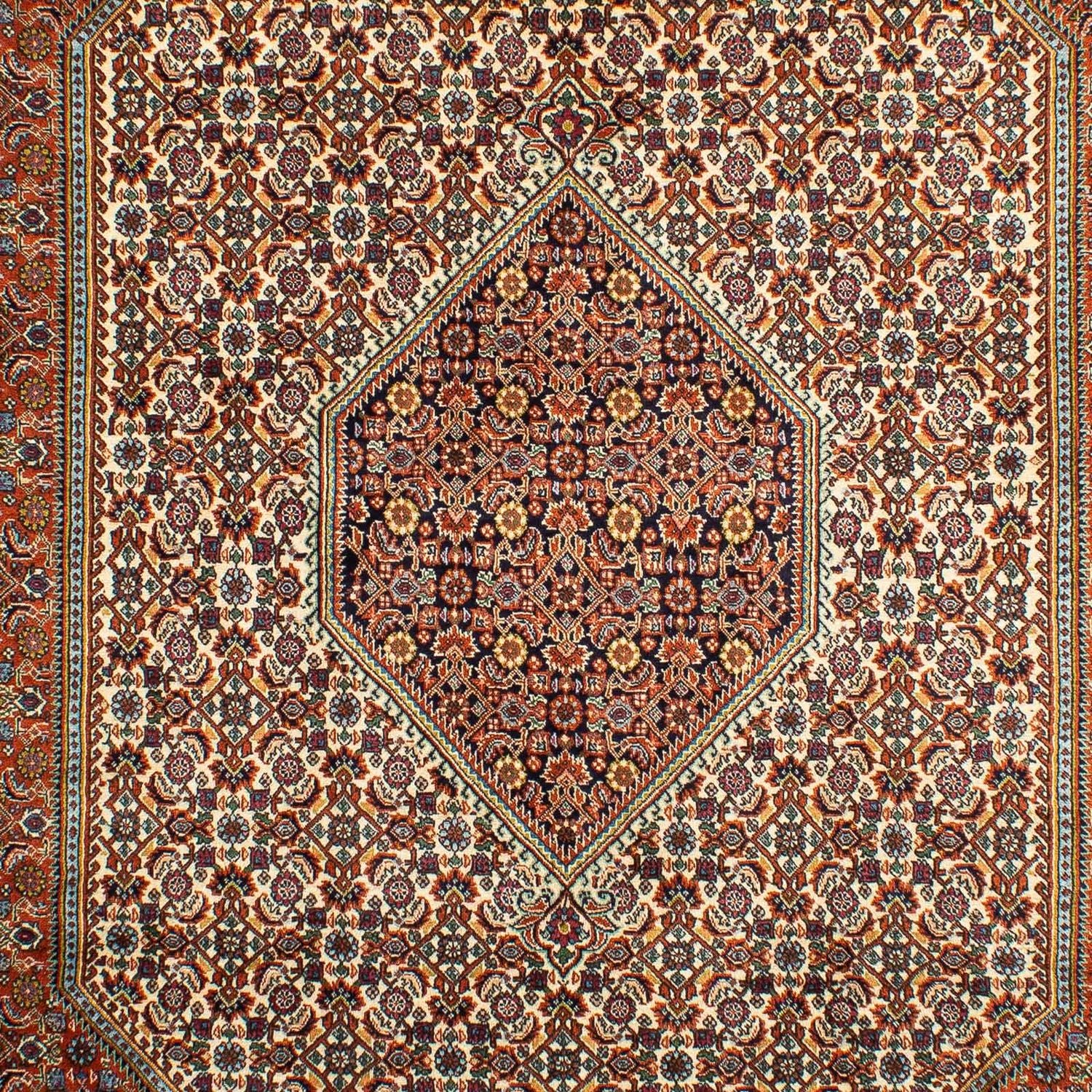 Perserteppich - Bidjar 297 x 202 cm