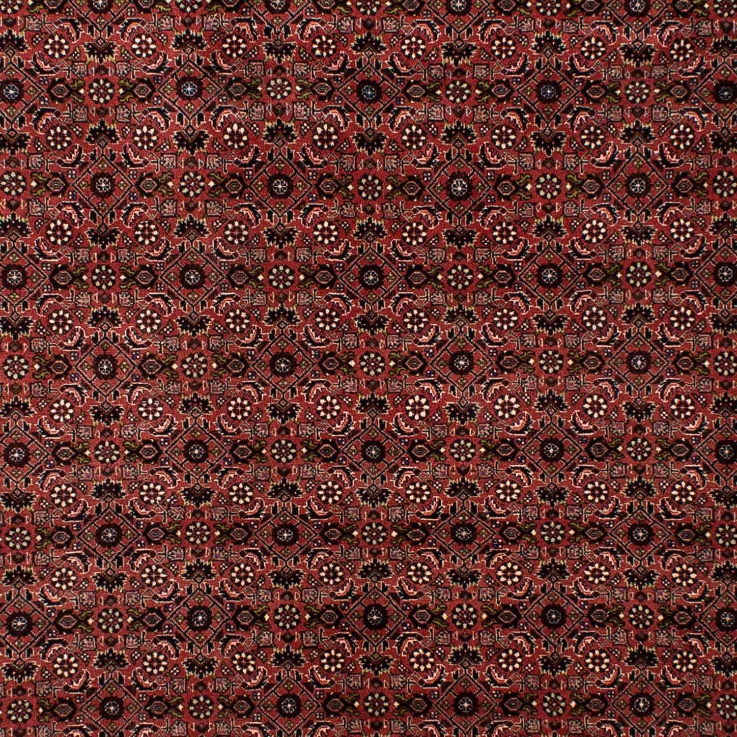 Perserteppich - Bidjar 295 x 196 cm