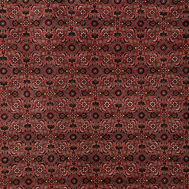 Perserteppich - Bidjar 295 x 196 cm