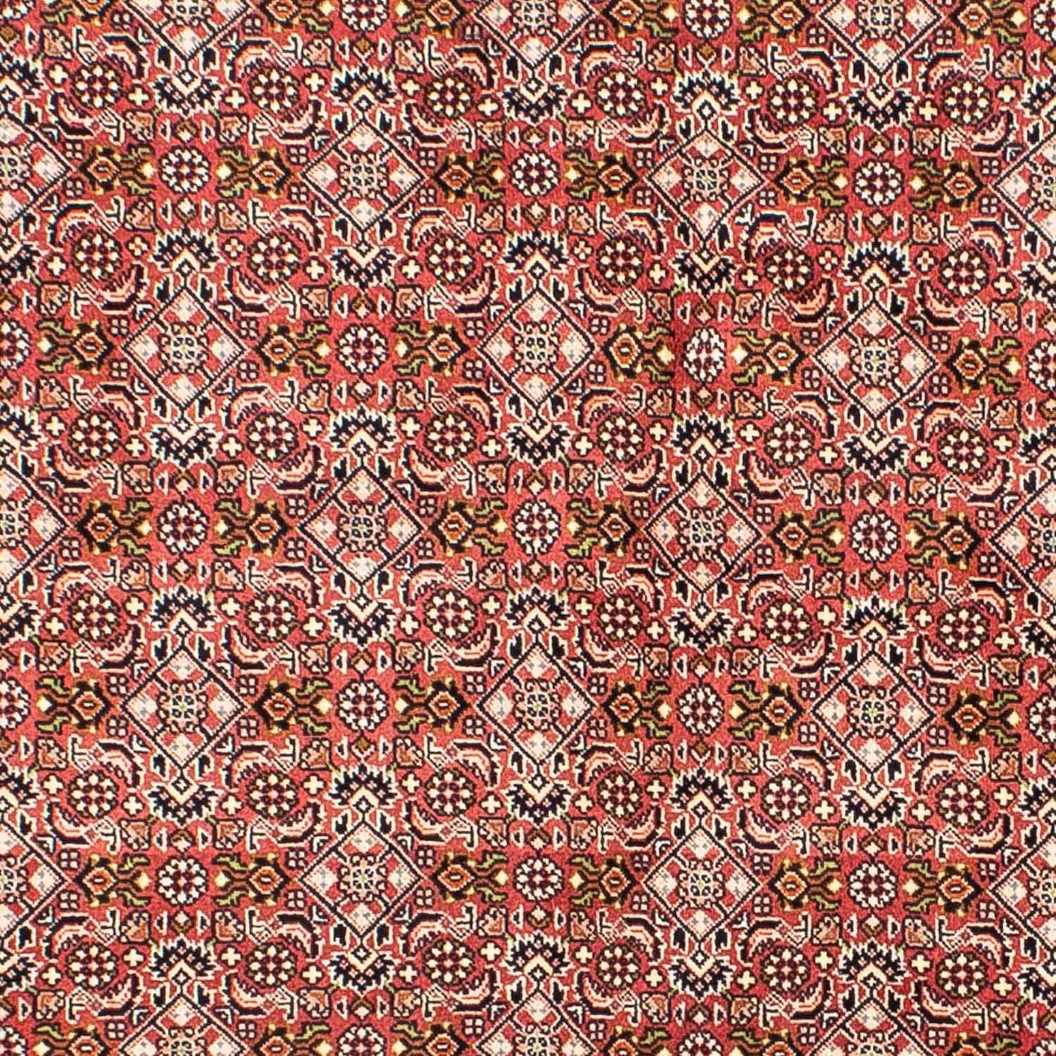 Perserteppich - Bidjar 215 x 136 cm