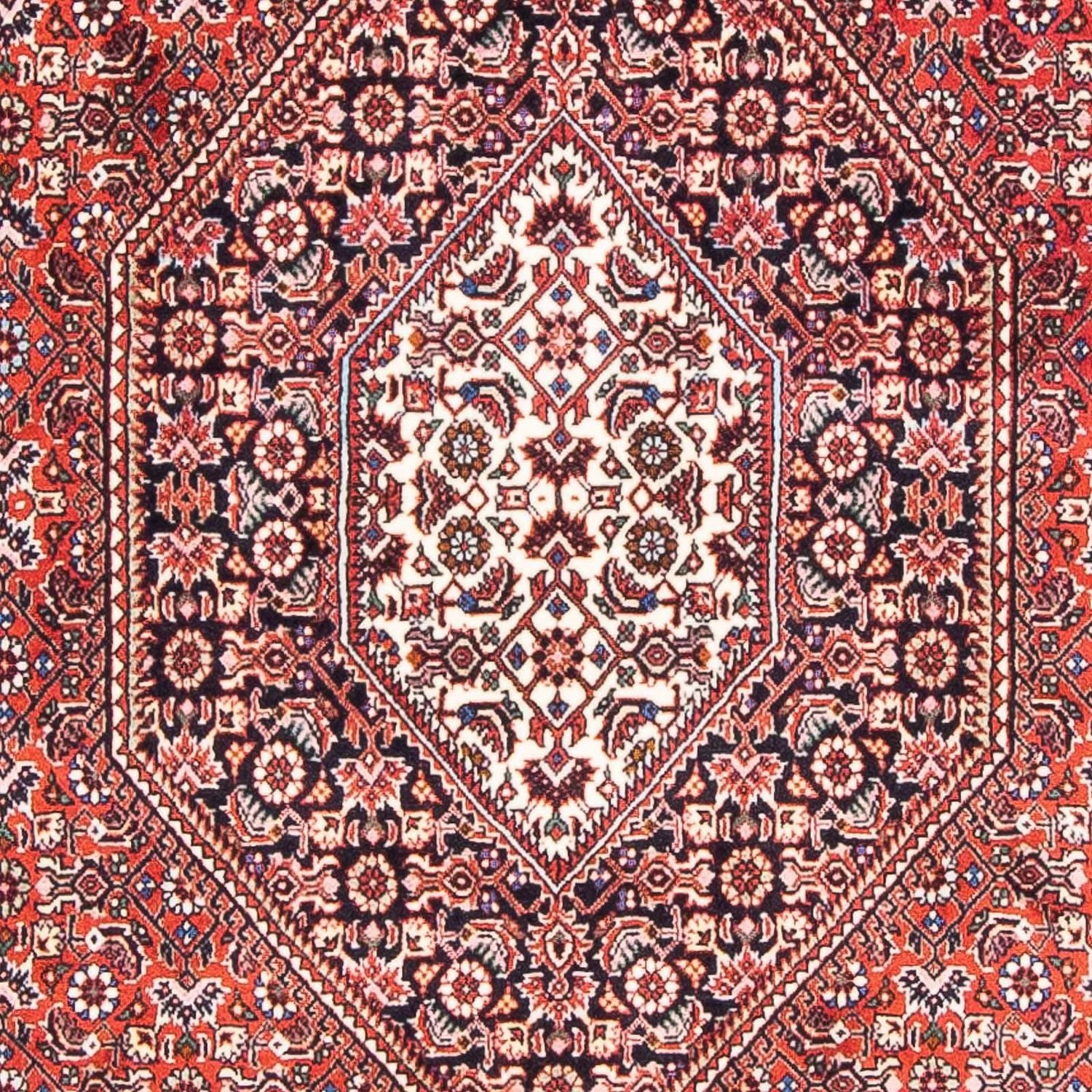 Perserteppich - Bidjar - Royal 170 x 110 cm - hellrot