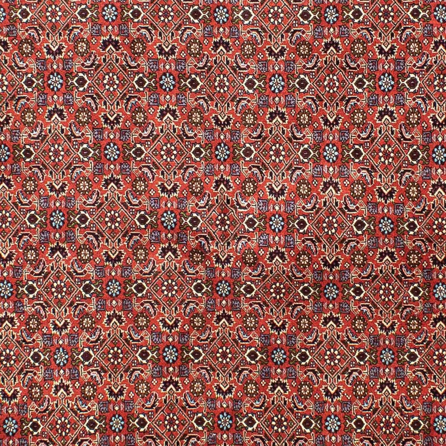 Perserteppich - Bidjar 288 x 202 cm
