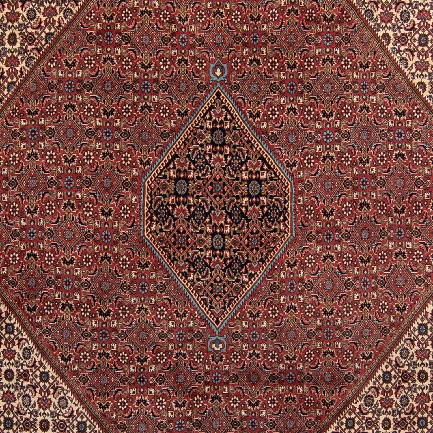 Perserteppich - Bidjar 350 x 248 cm - braun