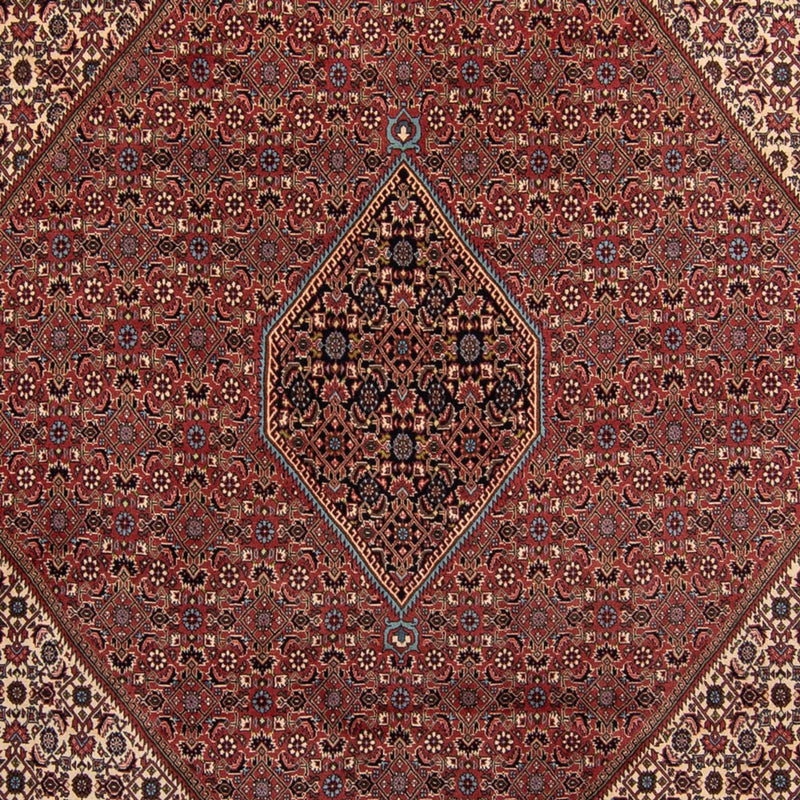 Perserteppich - Bidjar 350 x 248 cm - braun