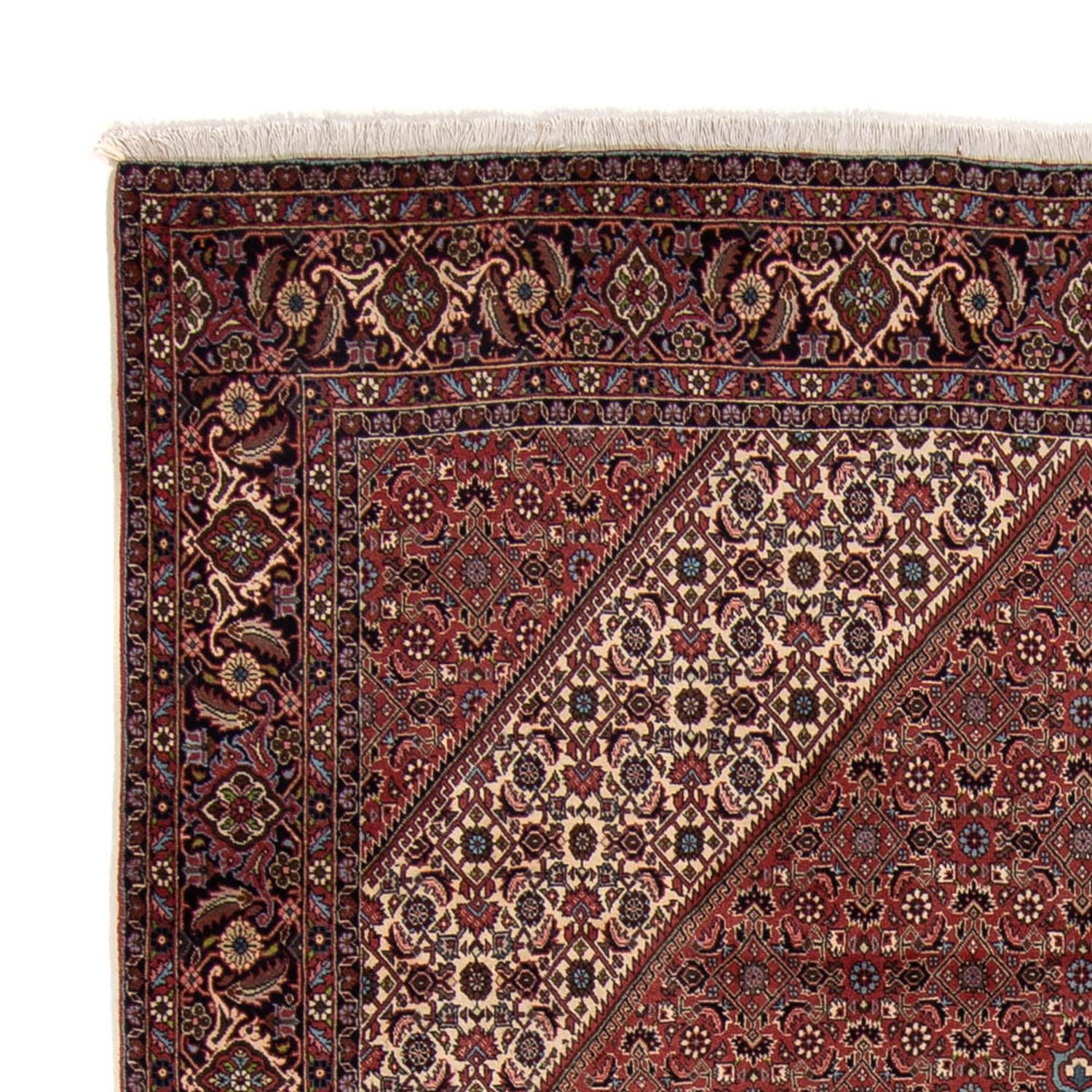 Perserteppich - Bidjar 350 x 248 cm - braun