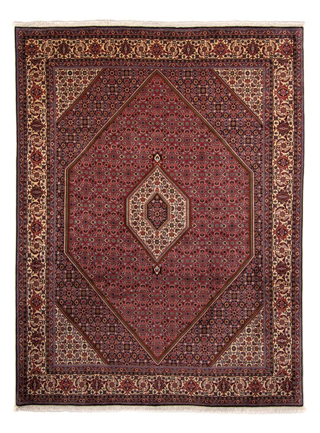 Perserteppich - Bidjar 338 x 250 cm