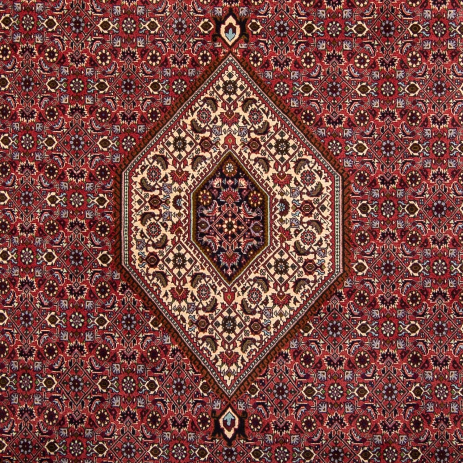 Perserteppich - Bidjar 338 x 250 cm