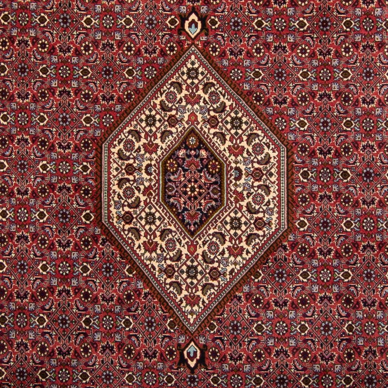 Perserteppich - Bidjar 338 x 250 cm
