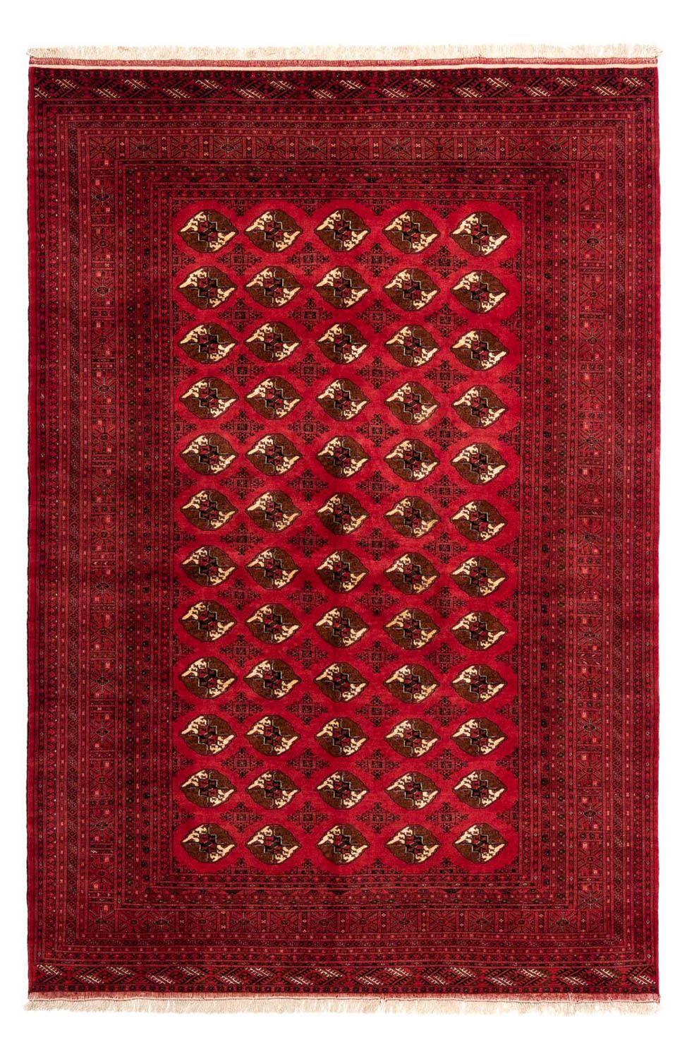 Perserteppich - Nomadic 290 x 203 cm