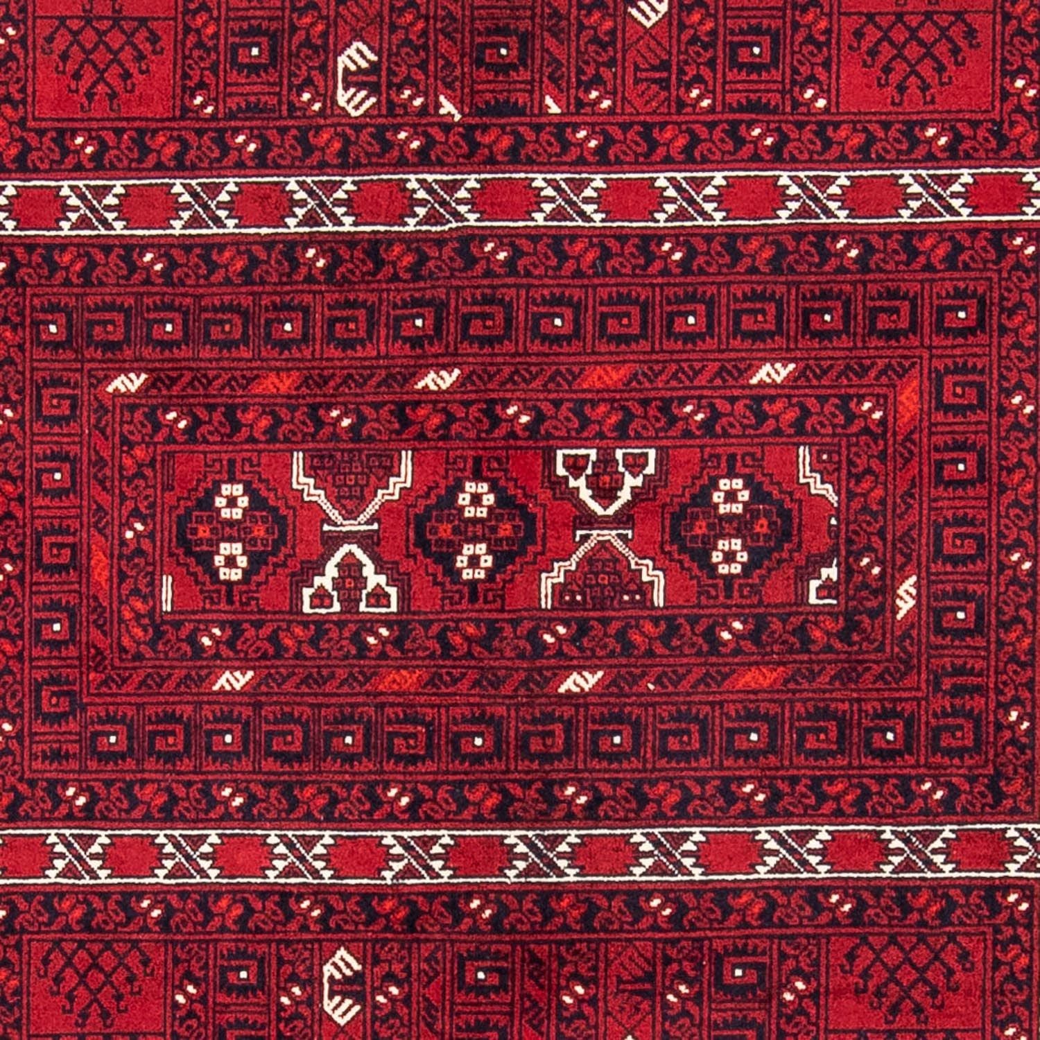 Turkaman Teppich 246 x 157 cm