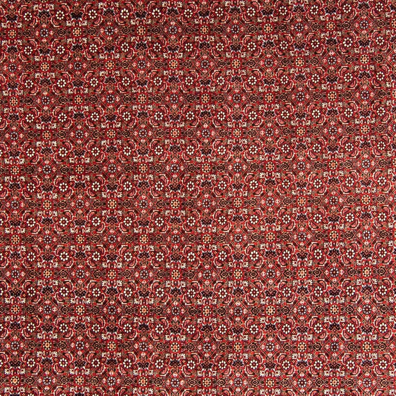 Perserteppich - Bidjar 330 x 246 cm