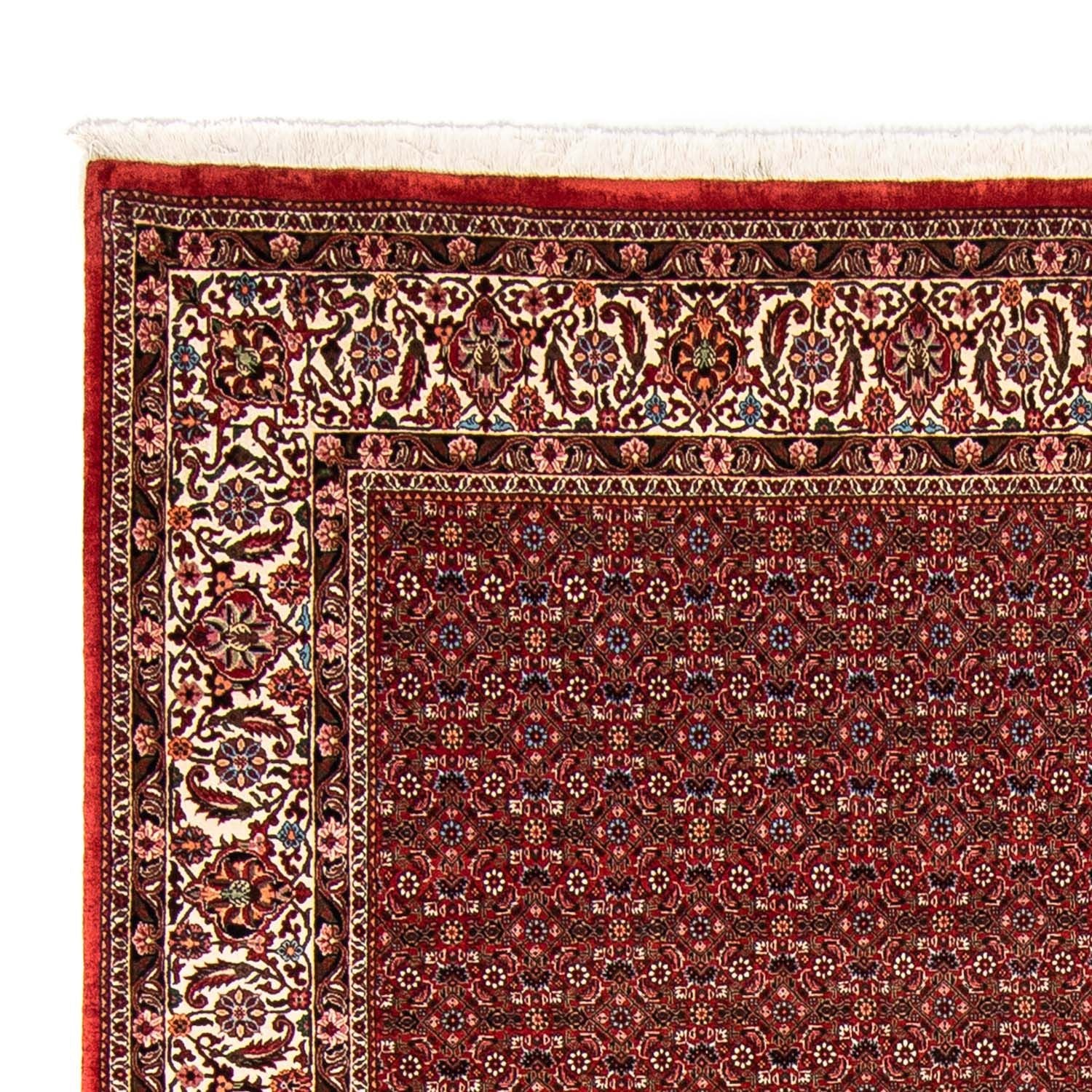 Perserteppich - Bidjar 330 x 246 cm