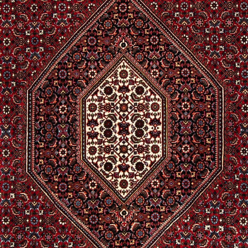 Perserteppich - Bidjar 248 x 148 cm