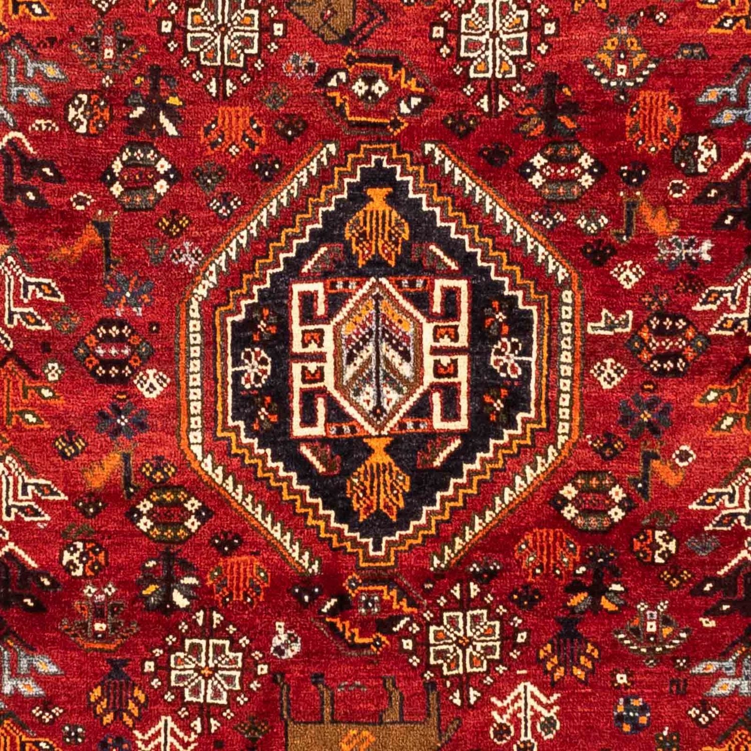 Perserteppich - Nomadic 257 x 183 cm