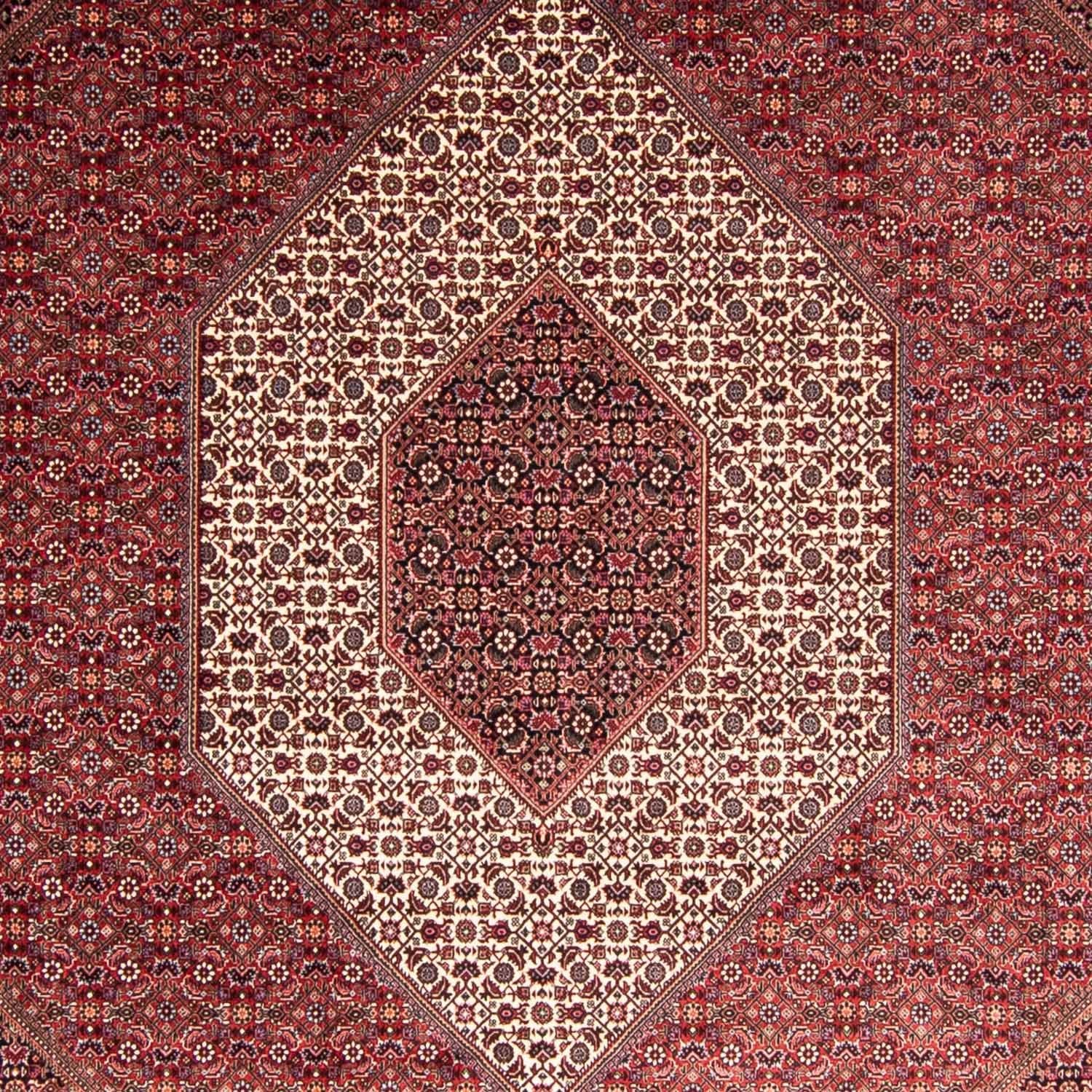 Perserteppich - Bidjar 344 x 254 cm