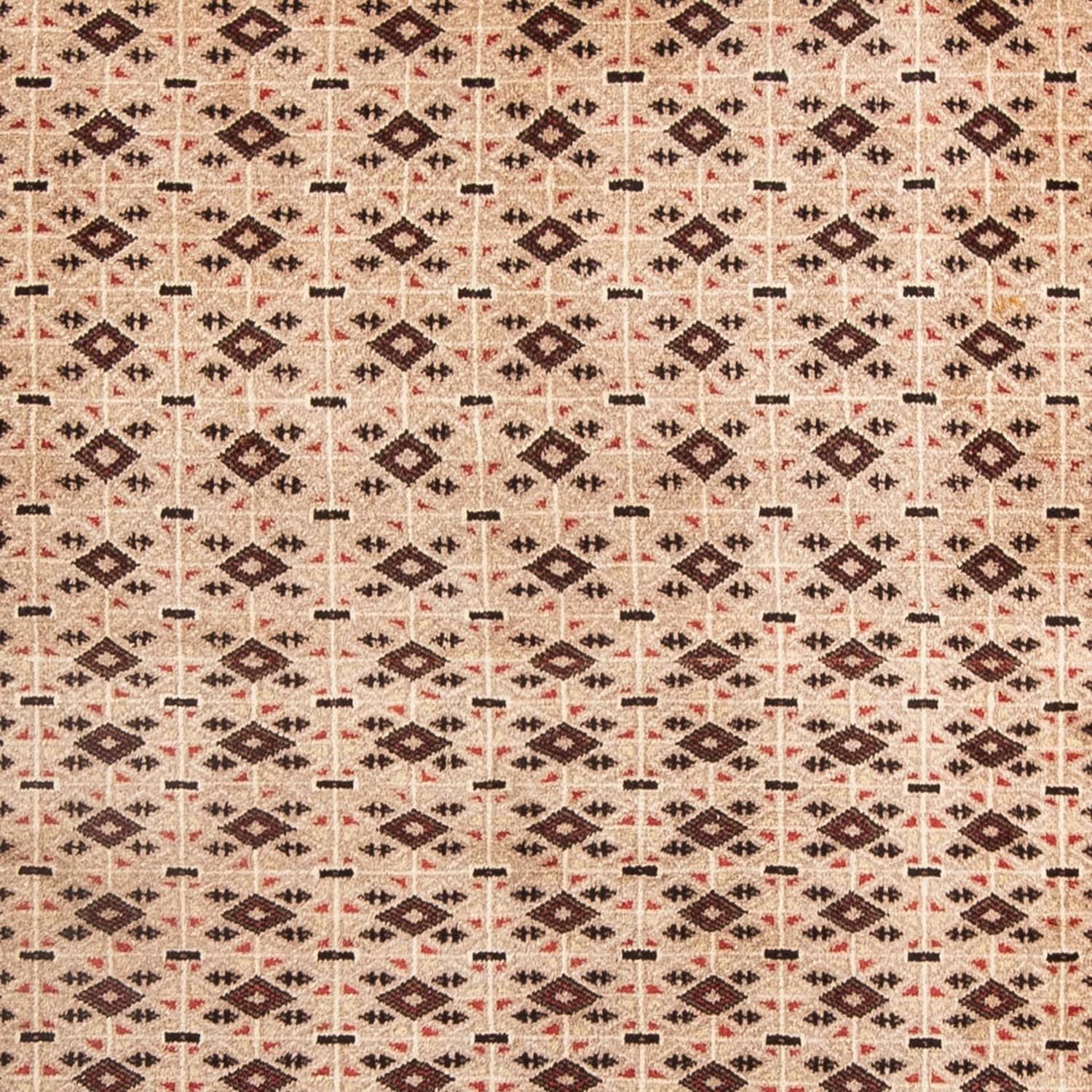 Belutsch Teppich 181 x 134 cm