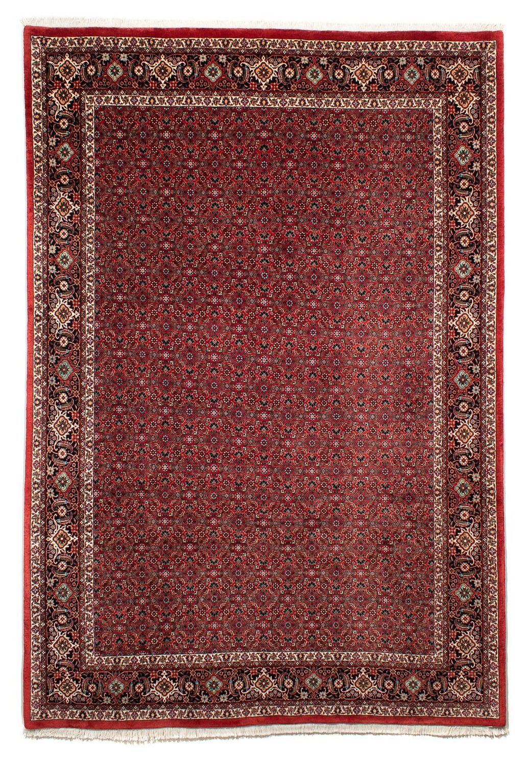 Perserteppich - Bidjar 295 x 203 cm Teppich Wohnzimmer