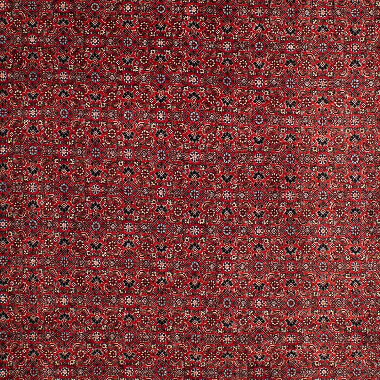 Perserteppich - Bidjar 295 x 203 cm Teppich Wohnzimmer