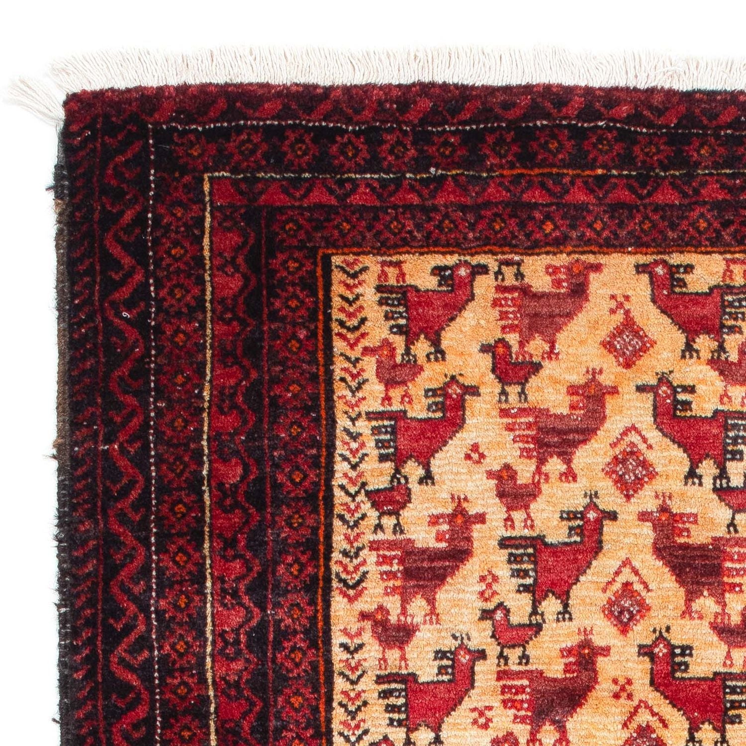 Belutsch Teppich 167 x 94 cm