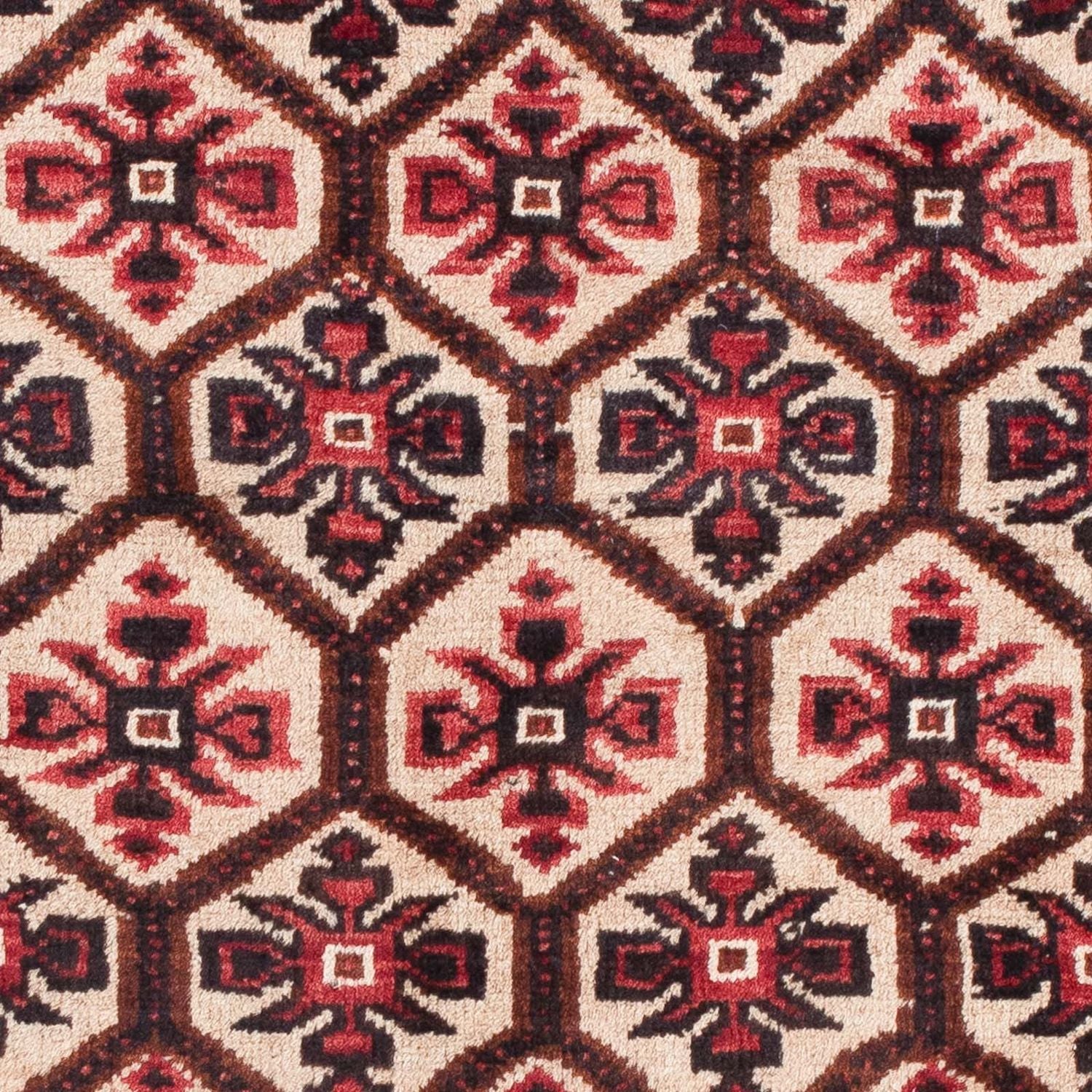 Belutsch Teppich 150 x 86 cm