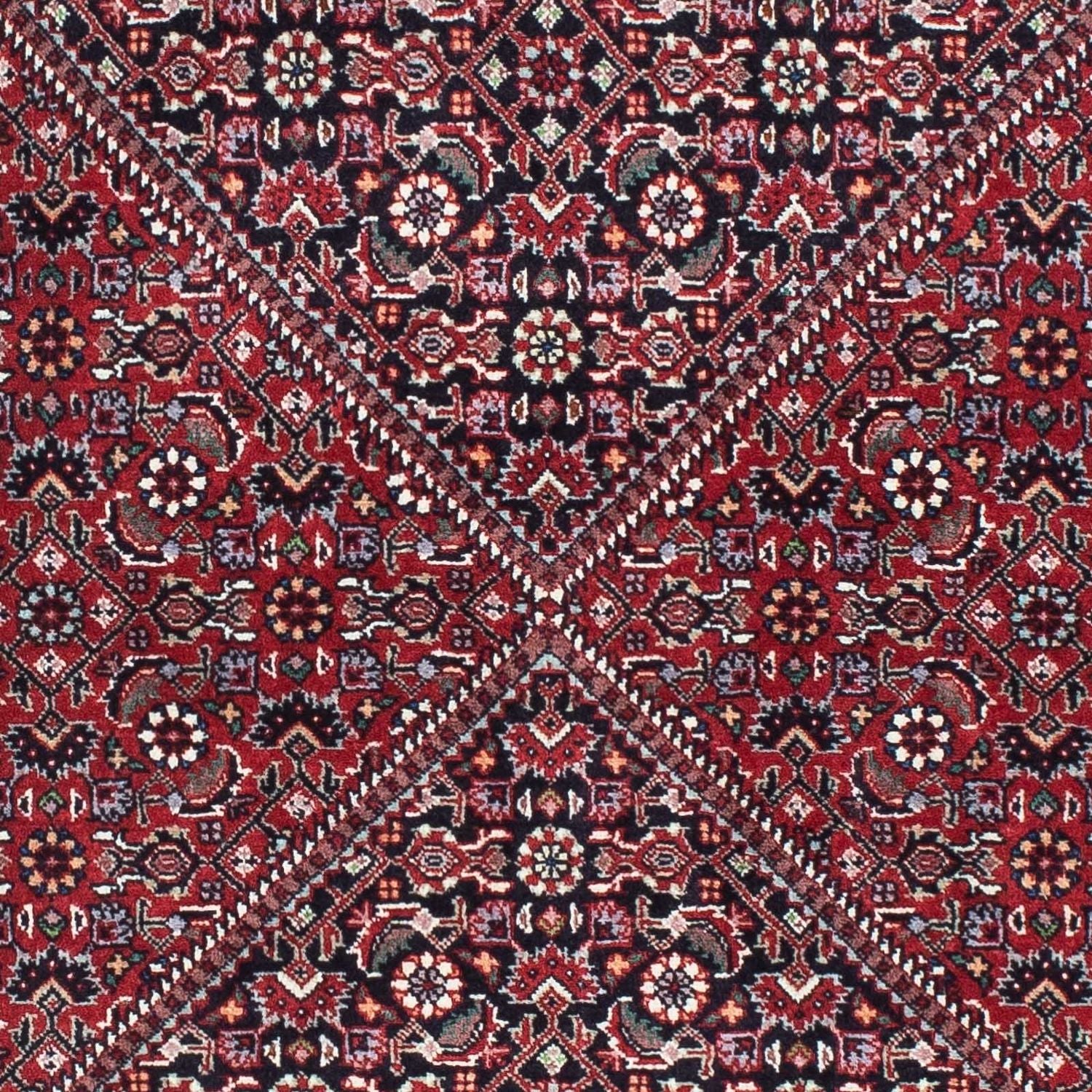 Perserteppich - Bidjar - Royal 223 x 73 cm - rot