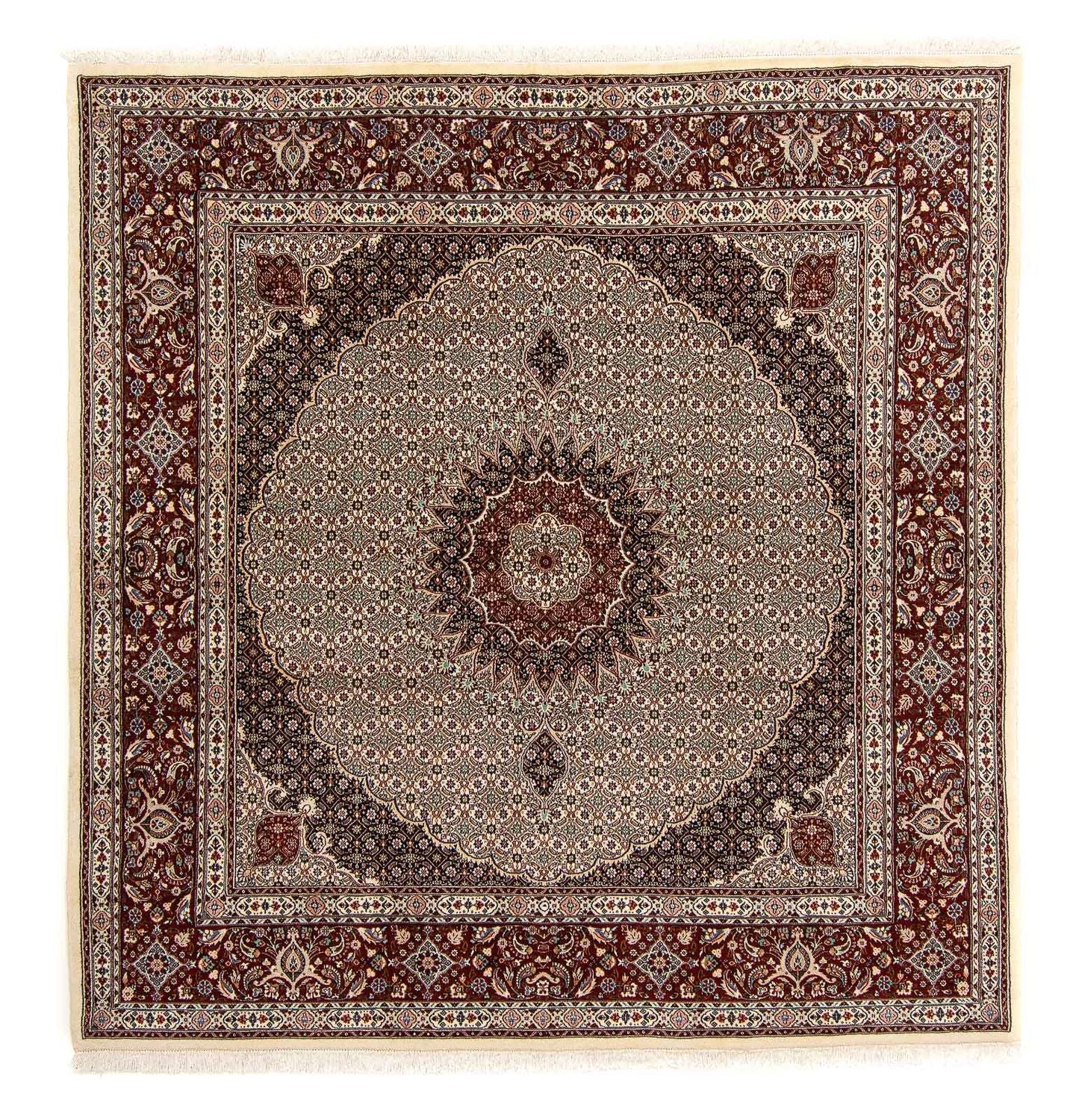 Perserteppich - Classic 262 x 250 cm