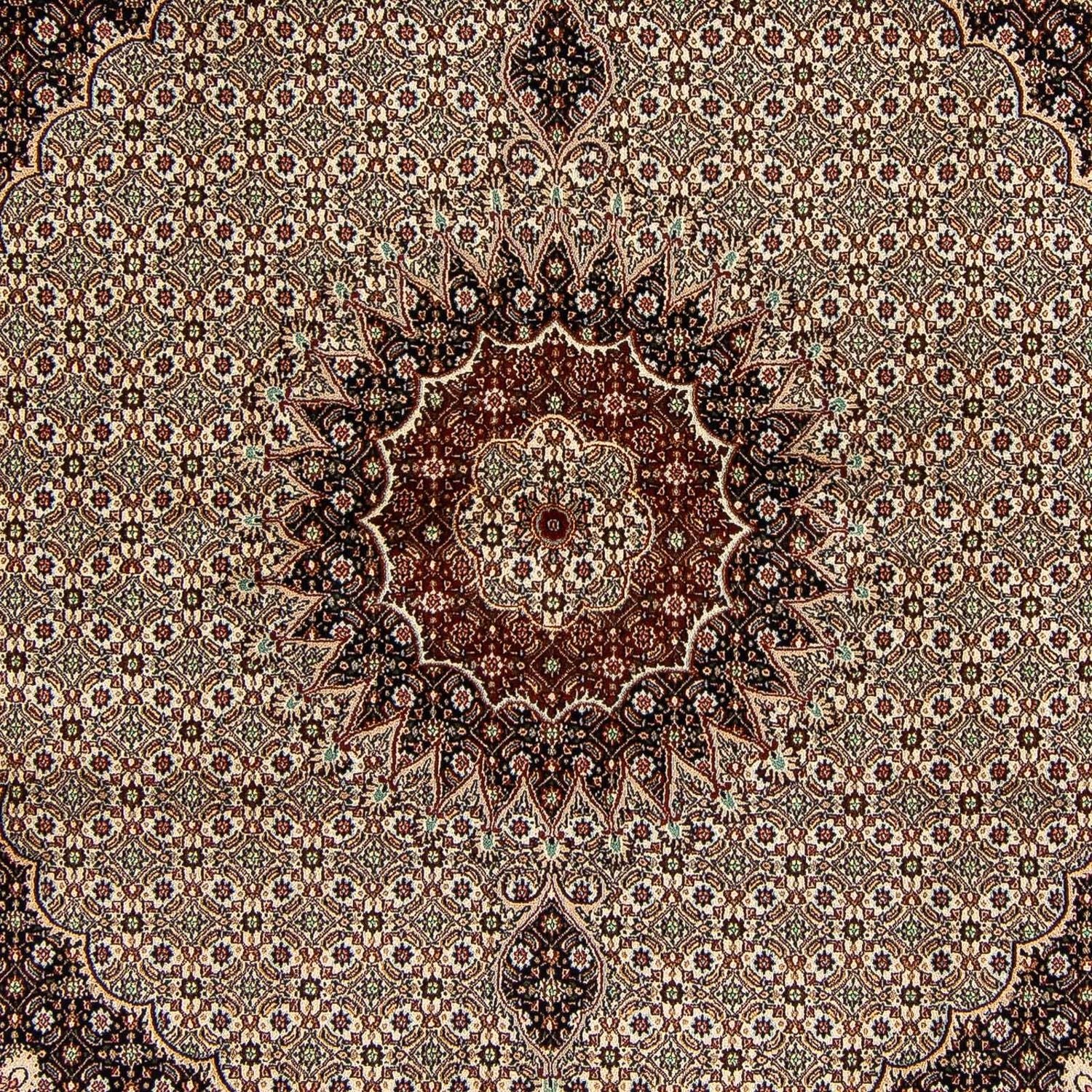 Perserteppich - Classic 262 x 250 cm