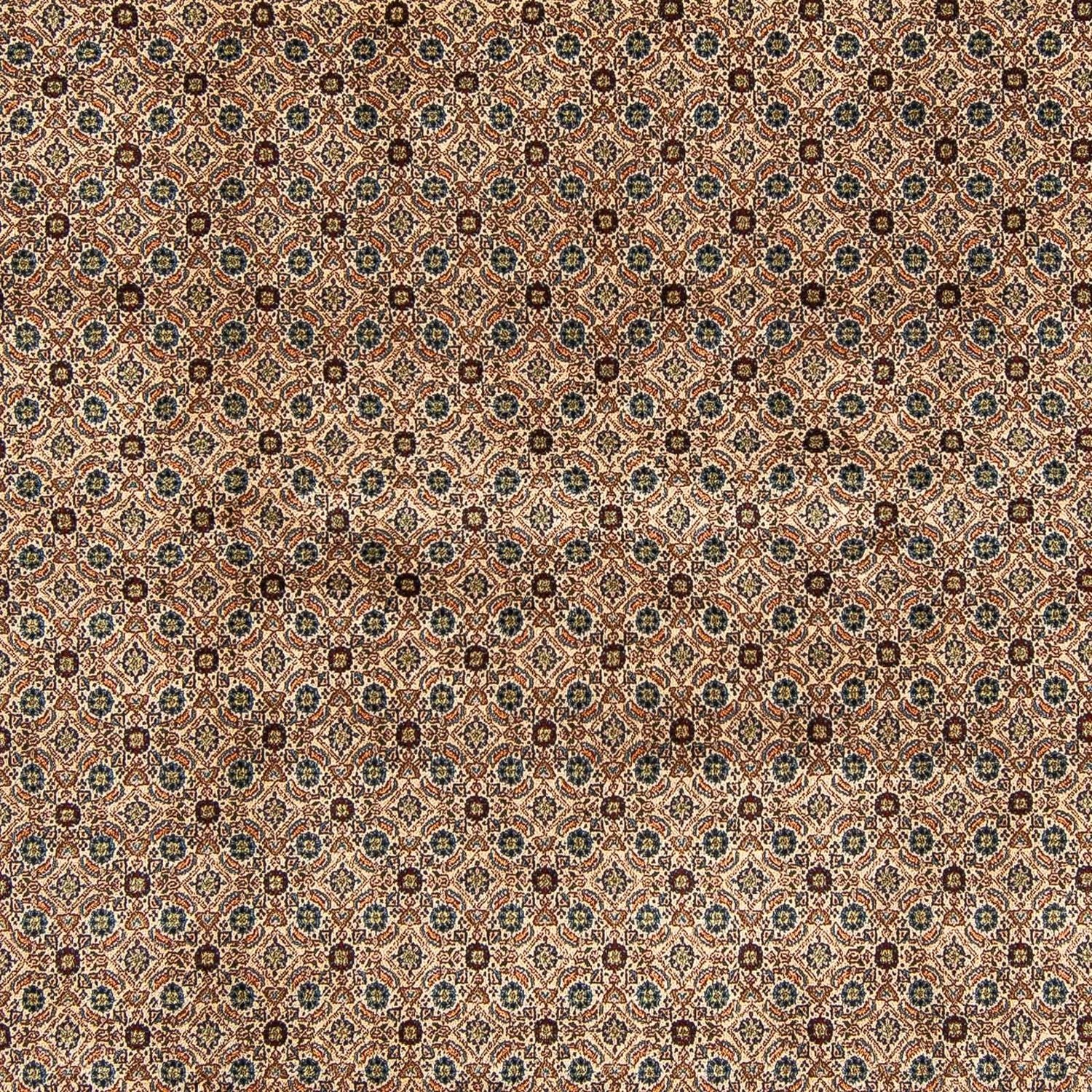 Perserteppich - Classic 257 x 248 cm