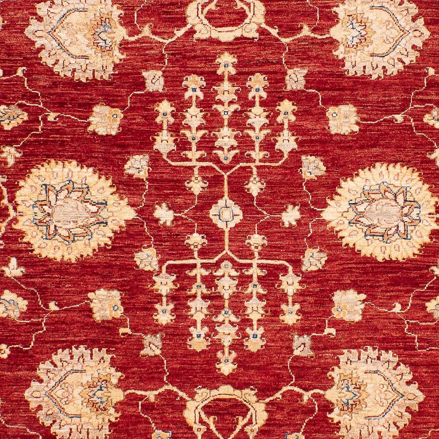 Ziegler Teppich 218 x 169 cm