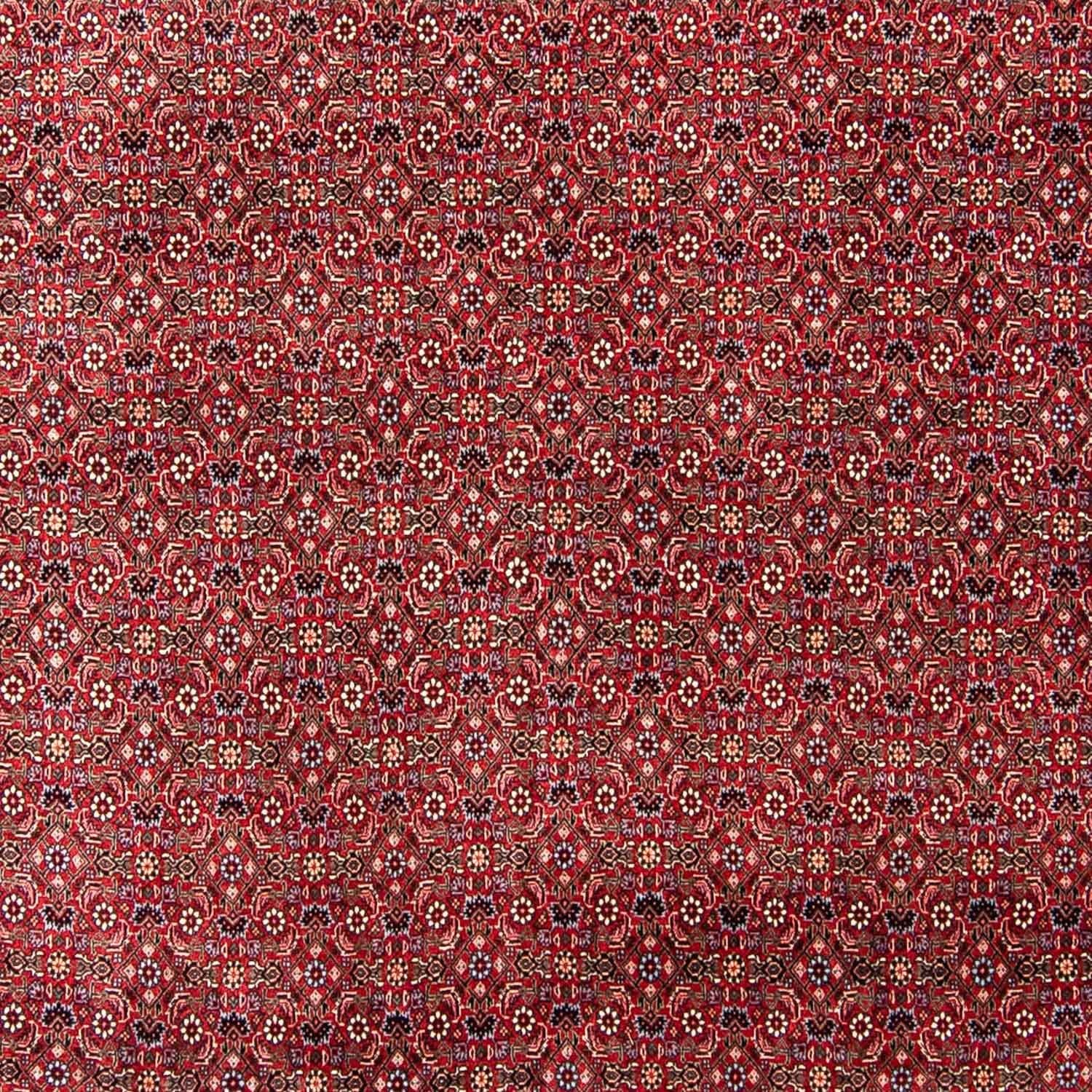 Perserteppich - Bidjar 300 x 253 cm
