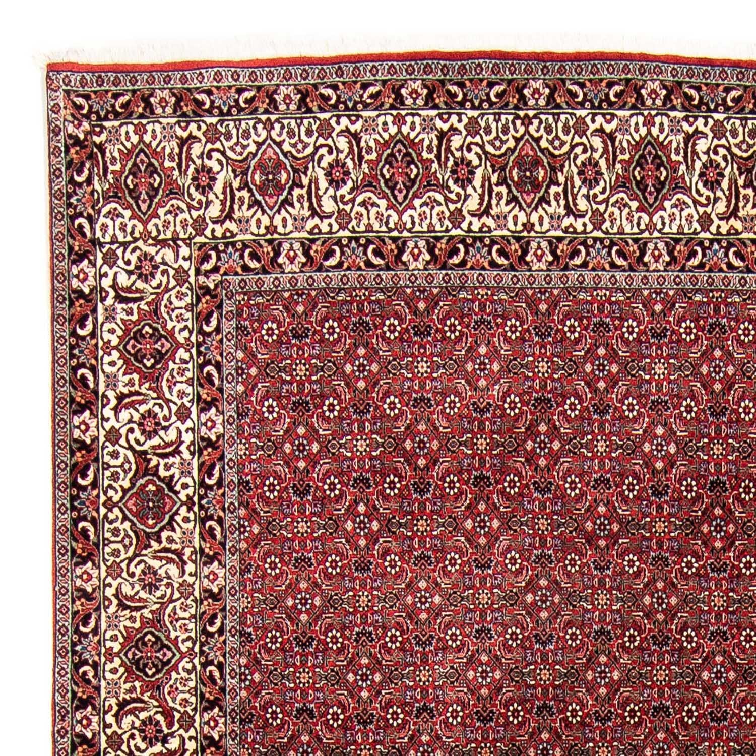 Perserteppich - Bidjar 300 x 253 cm