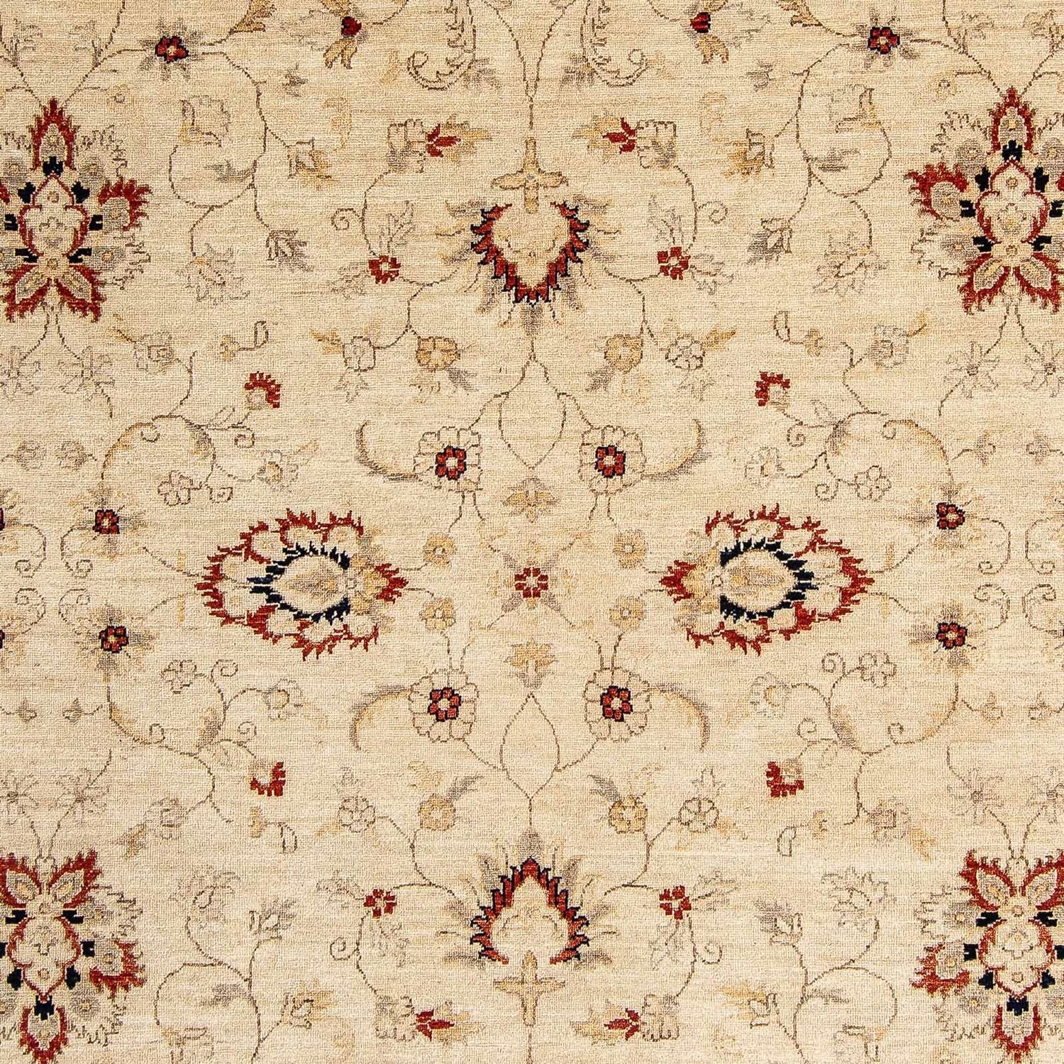 Ziegler Teppich 297 x 246 cm